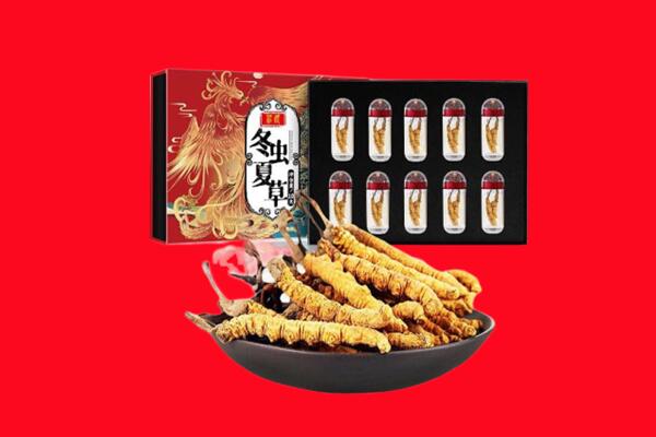 百色右江区回收虫草